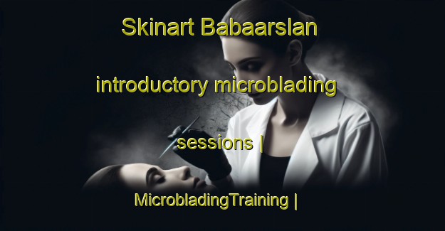 Skinart Babaarslan introductory microblading sessions | MicrobladingTraining | MicrobladingClasses | SkinartTraining-Turkey